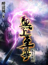 无上至尊逍遥寰宇TXT下载