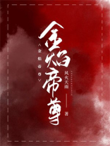 金焰帝尊 风火天雨 小说