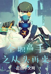 全职高手之从头再来小说