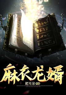 麻衣龙婿