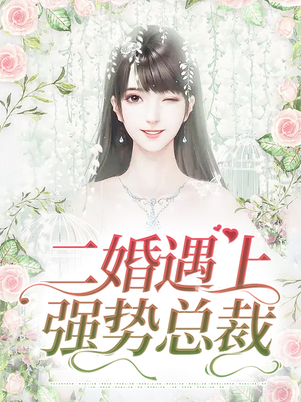 二婚遇上强势总裁免费阅读
