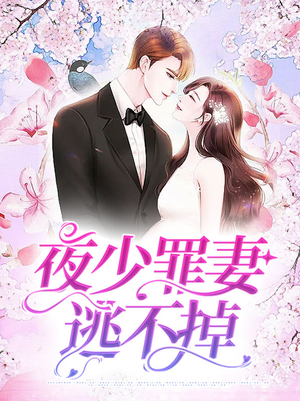 夜少的逃妻