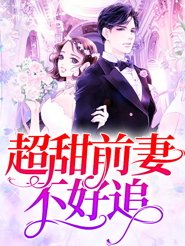 前妻不好追辛安