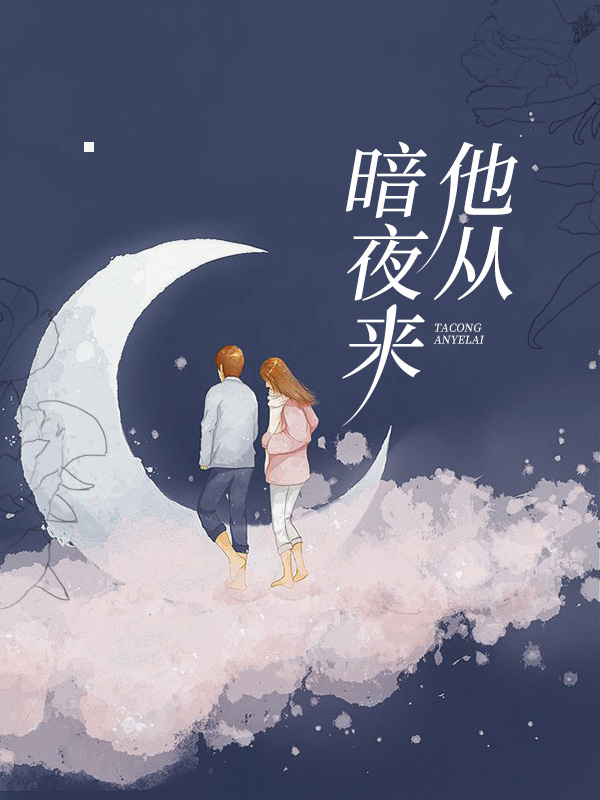 他从暗夜来小说免费阅读