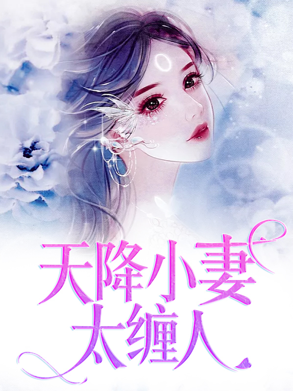 天降小妻宠上天