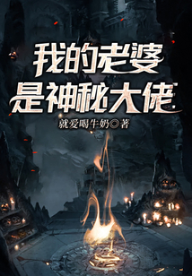 我的老婆是神秘大佬短剧十集