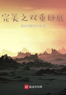 完美之双重卧底小说免费全文下载