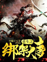 重生之大唐中兴