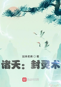 诸天从盗综开始TXT下载全文免费