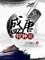 盛唐特种兵 小说