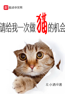 请给我一次做猫的机会