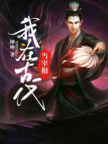 我在古代当宰相随笔