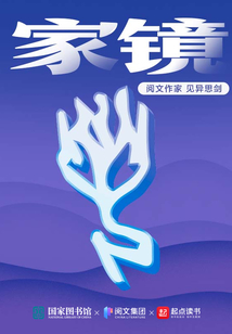 家镜