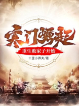 寒门崛起顶点小说网