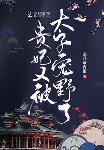 贵妃又被太子宠野了 讲的什么