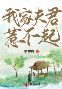 我家夫君惹不起 小说