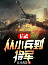 抗战:从小兵到将军免费下载tXt