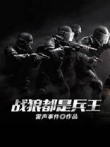 战狼兵王陆无邪