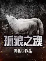孤之狼寂