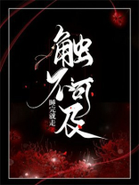 触不可及小说唐佳沈延之