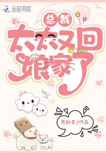 总裁太太又回娘家了百度网盘