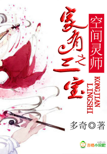 空间灵师之家有三宝小说