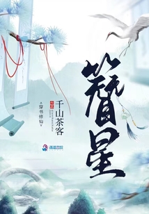 簪星全文免费阅读笔趣阁