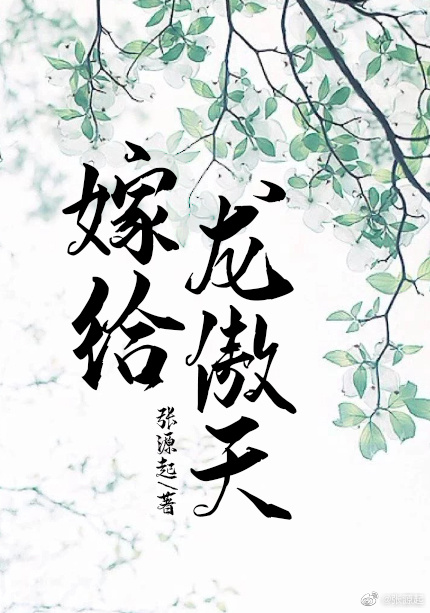 嫁给龙傲天天TXT百度云