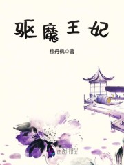 驱魔王妃穆丹枫小说