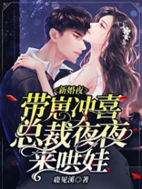 新婚夜带崽冲喜,总裁夜夜来哄娃小说