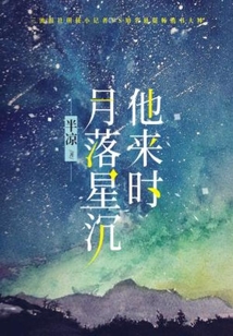 伴你月落星沉歌词