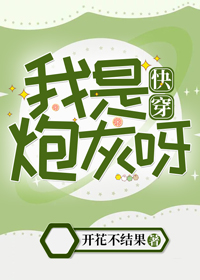 我是炮灰呀快穿百度云网盘