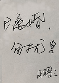 已离婚,勿扰免费阅读笔趣阁