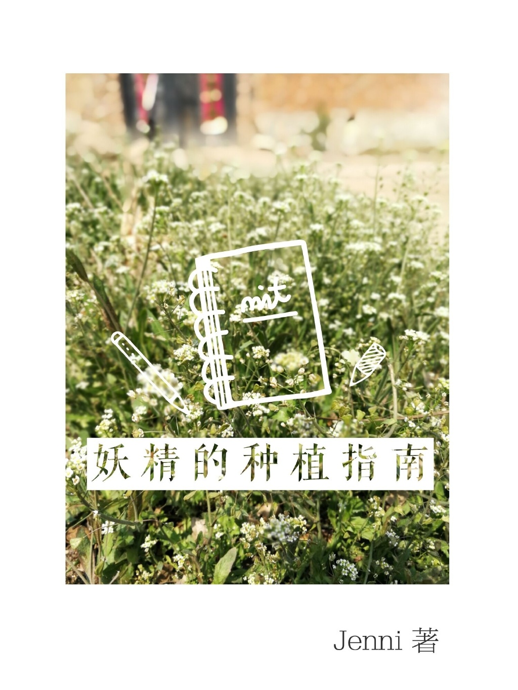 妖精的种植指南全文免费阅读