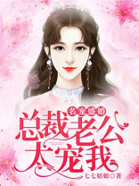 隐婚溺宠,总裁老公宠不停