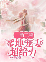 一胎三宝爹地宠妻超给力亦小钱免费阅读