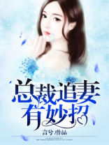 总裁追妻有妙招 聚合中文网