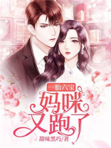 一胎六宝:妈咪又跑了百度