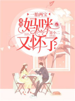 一胎两宝:爹地,妈咪又怀了?