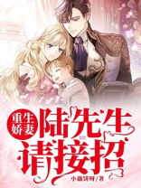 重生陆先生追妻太辛苦陆君宸沈薇