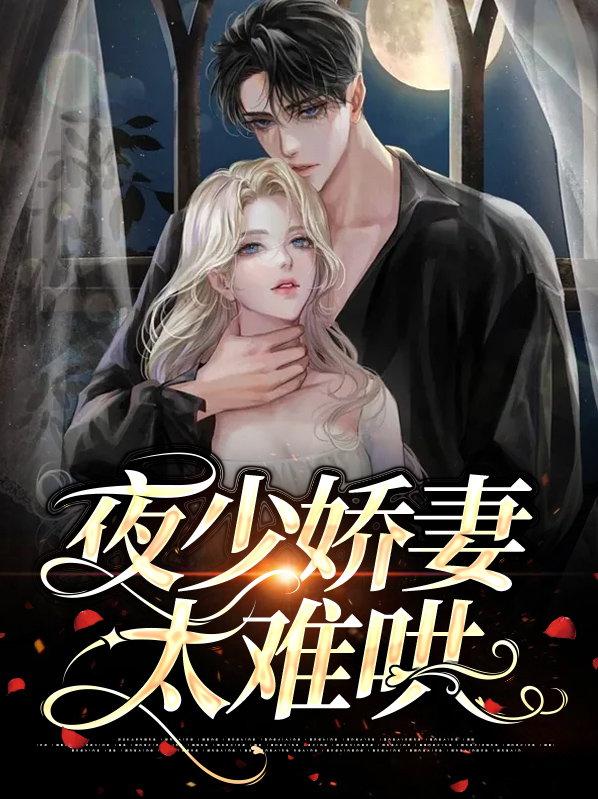 夜少宠妻如命小说