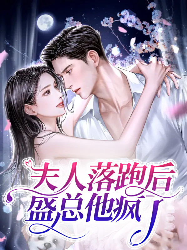 夫人落跑后盛总他疯了