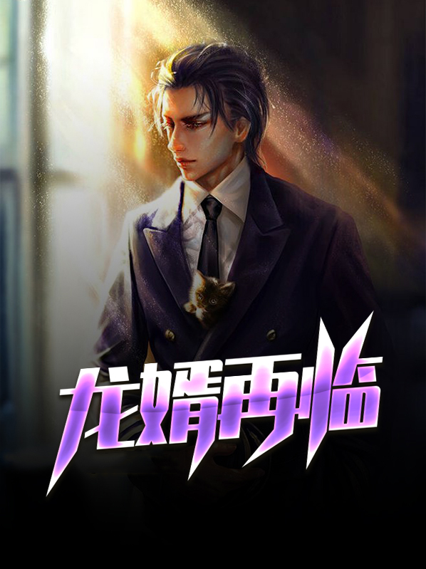 龙婿完整版