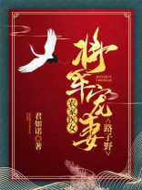 农家医女:将军宠妻路子野百度云