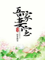 吾家妻宝小说免费下载TXT完整版