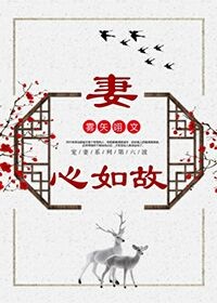 妻心如故百度网盘