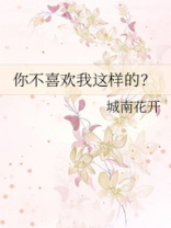 你不喜欢我这样的小说