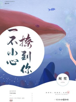 一不小心撩到你百度云