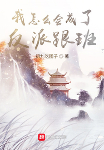 我怎么会成了反派跟班 小说