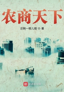 农商天下小说